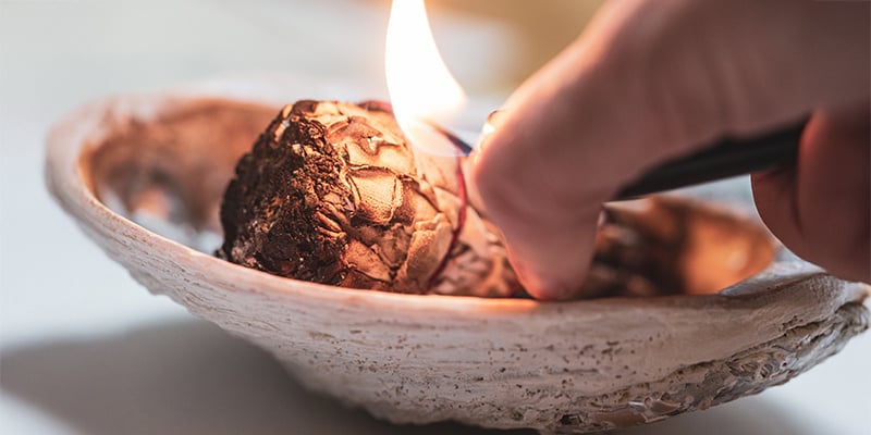 La Salvia divinorum è legale?