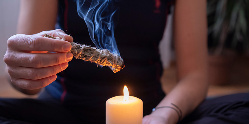 Dove acquistare la Salvia divinorum e alcune considerazioni sulla sicurezza