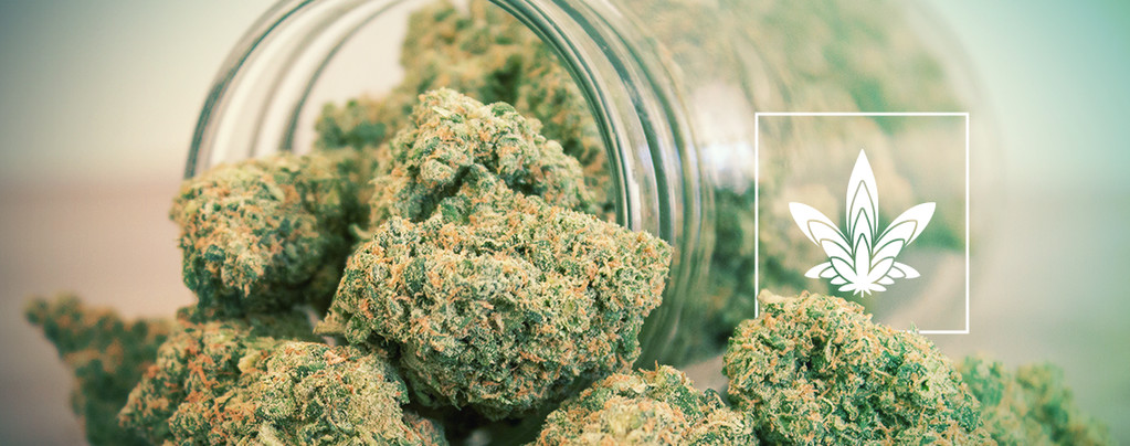Cannabis Cime Più Grandi