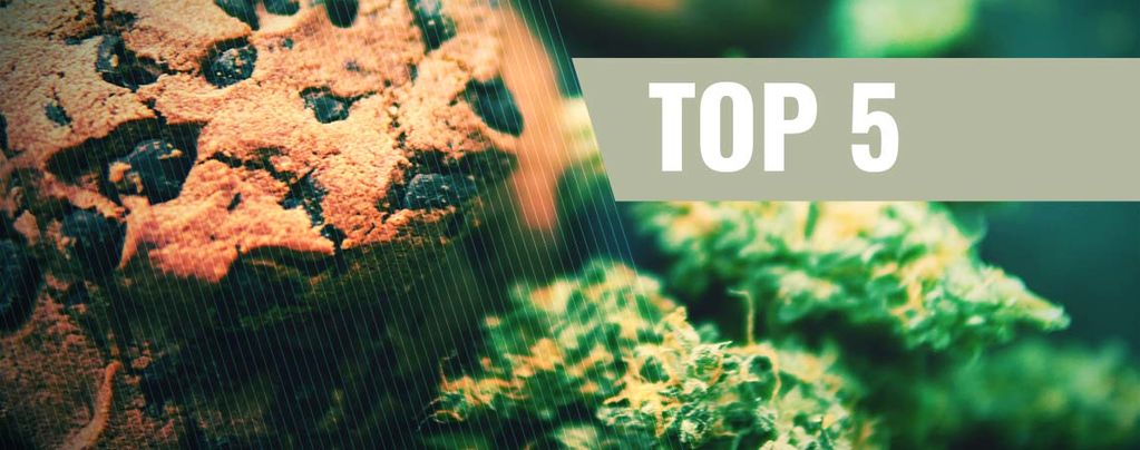 Biscotti alla Cannabis