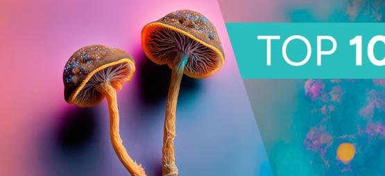10 Attività Da Fare Sotto L'Effetto Dei Funghi Allucinogeni